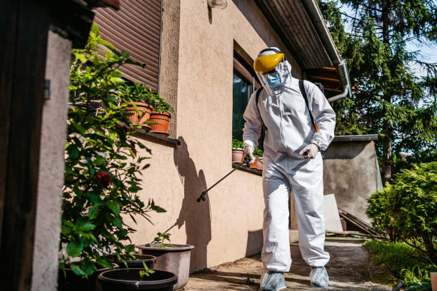 Best Mosquito Control Services  in Brookfield, MO
