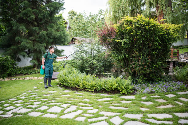 Best Ant Control Services  in Brookfield, MO