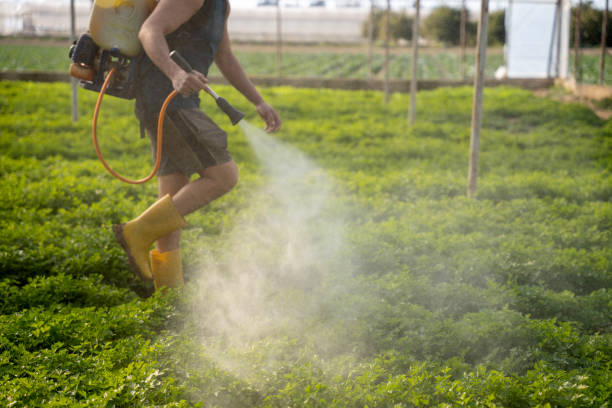 Best Commercial Pest Control Services  in Brookfield, MO