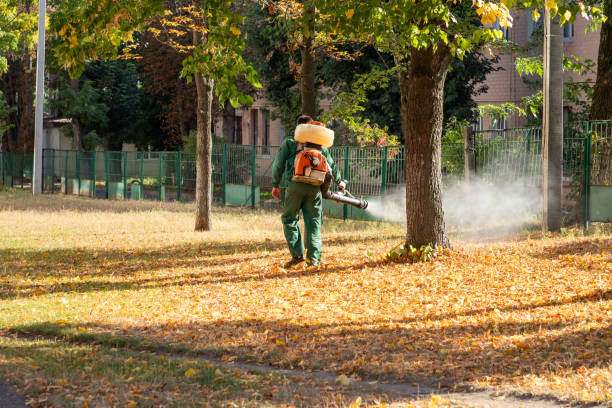 Best Pest Control for Homes  in Brookfield, MO