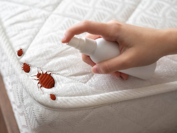 Best Best Pest Control Companies  in Brookfield, MO