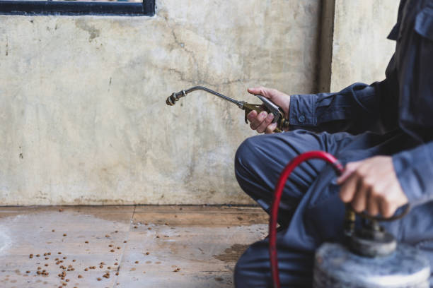 Best Termite Control Services  in Brookfield, MO